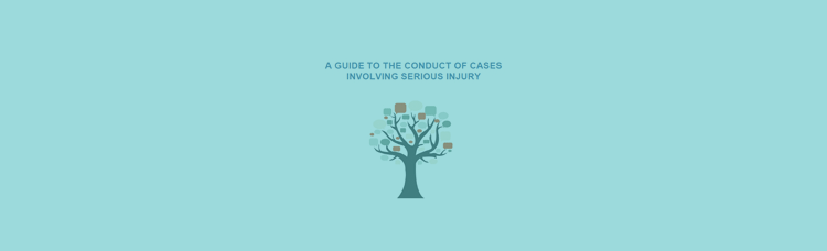 The Guide to the Conduct of Cases Involving Serious Injury The Guide to the Conduct of Cases Involving Serious Injury